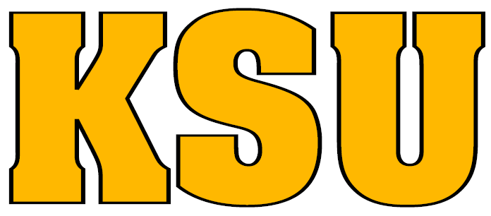 Kennesaw State Owls 0-2011 Wordmark Logo iron on transfers for fabric